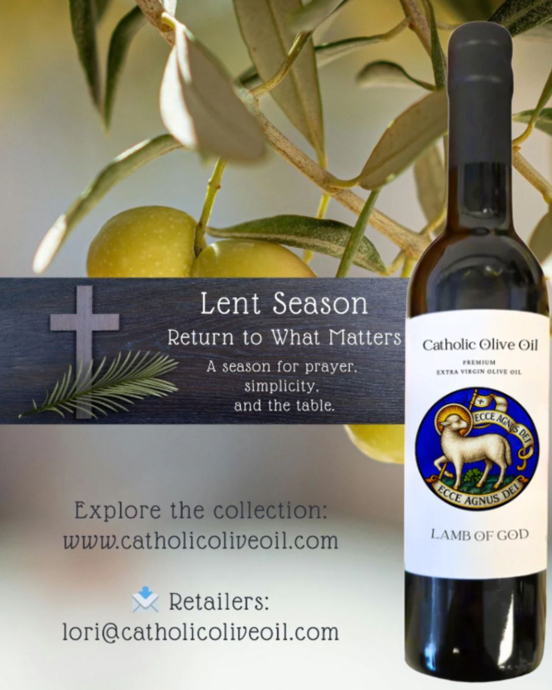 coo-tasting-evoo